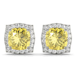 Elegant Fashion Earrings - STYLE 