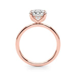 Exquisite 1 Carat Round Hidden Halo Engagement Ring in 14k White Gold